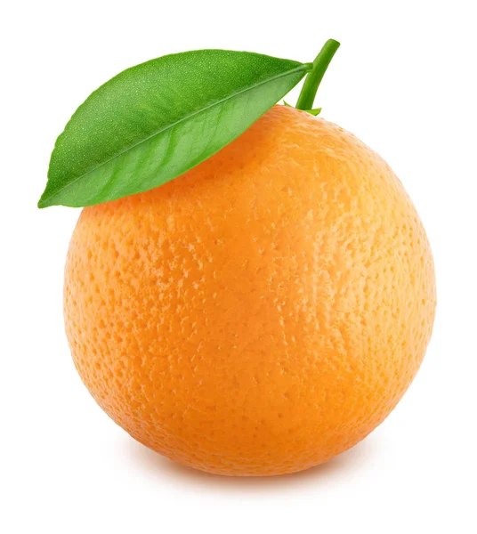 橙色与白色背景上孤立的叶 — 图库照片