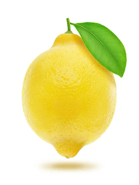 Limón con hoja aislada sobre fondo blanco — Foto de Stock