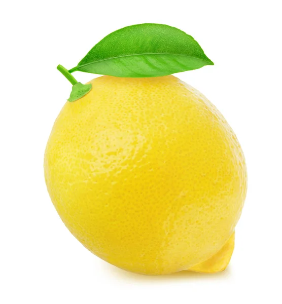 Limão com folha isolada no fundo branco — Fotografia de Stock