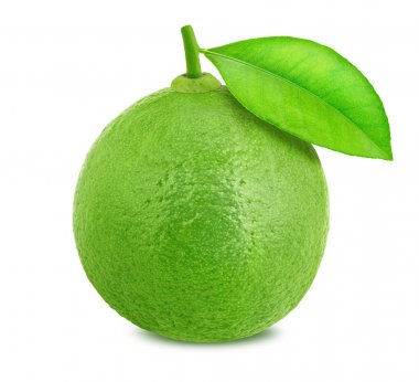 beyaz arkaplanda yapraklı kireç