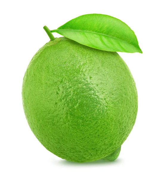 beyaz arkaplanda yapraklı kireç