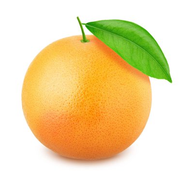 Beyaz bir arka plan üzerinde izole yaprak greyfurt