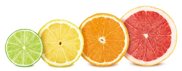 Fruit plakjes set: citroen, limoen, sinaasappel- en grapefruitsap — Stockfoto