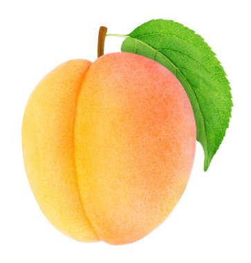 Olgun turuncu yeşil yaprak izole kayısı