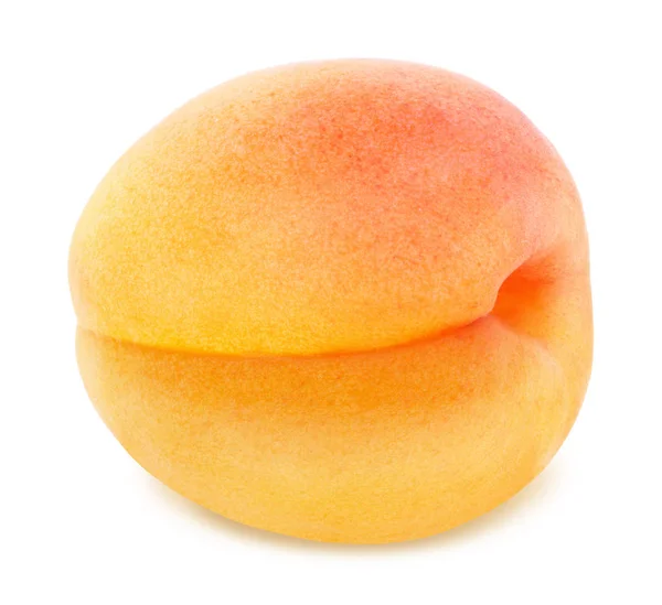 Zralé oranžové Meruňka, samostatný — Stock fotografie
