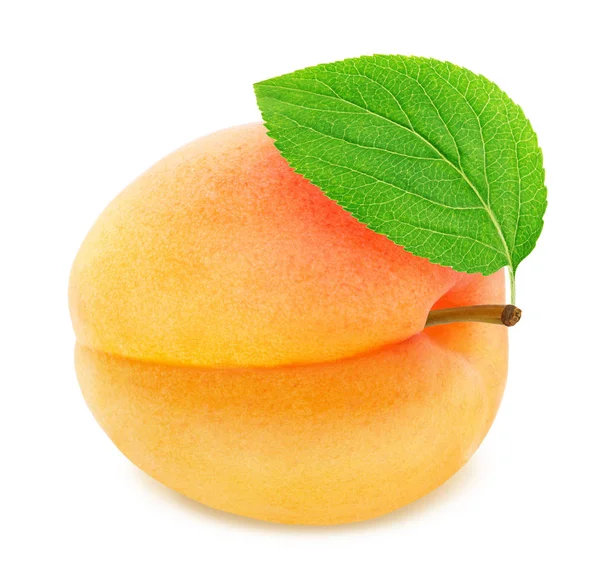 Ripe orange apricot with green leaf isolated — Stock Photo, Image