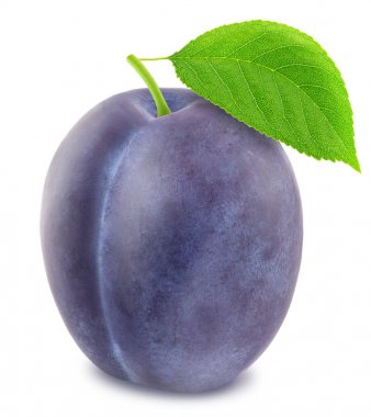 Olgun Erik yeşil yaprak. Kırpma yolu ile