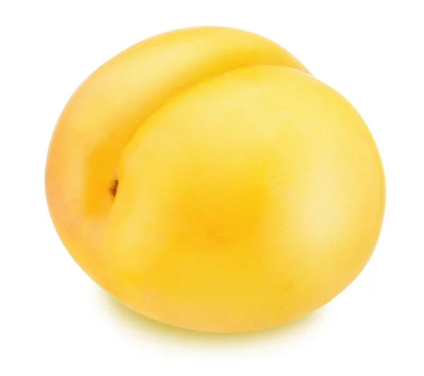 Ameixa amarela madura isolada — Fotografia de Stock