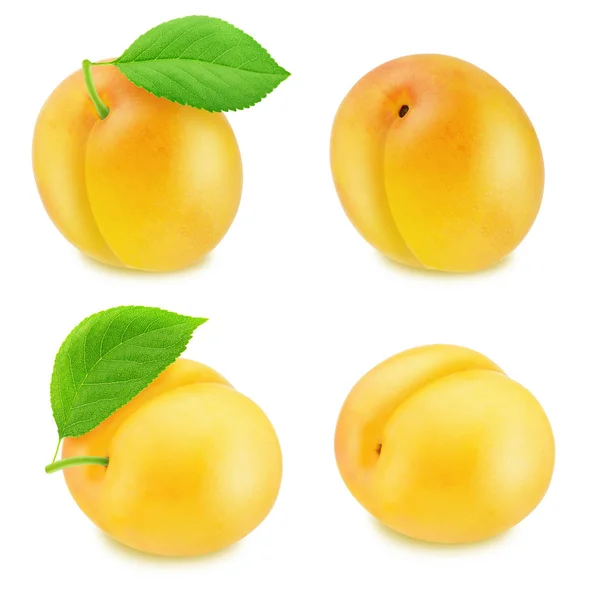 Set of ripe yellow plums isolated — Stock Photo, Image