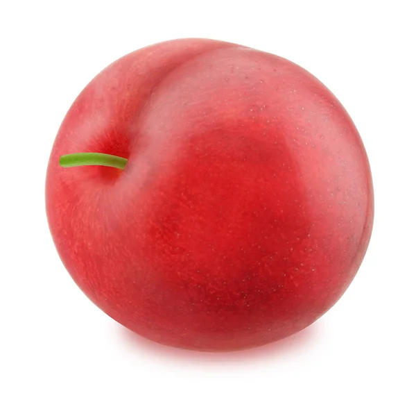 Fresh red plum isolated — Stock Photo, Image