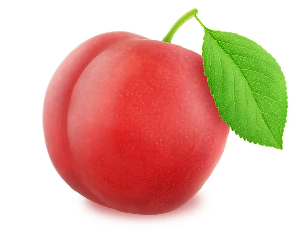 Ripe red plum with green leaf. With clipping path — Stock Photo, Image