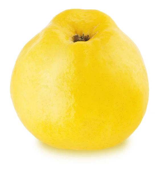 Manzana madura-membrillo aislado — Foto de Stock
