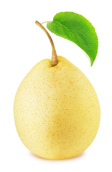 Mogna kinesiska päron med grönt blad isolerade — Stockfoto