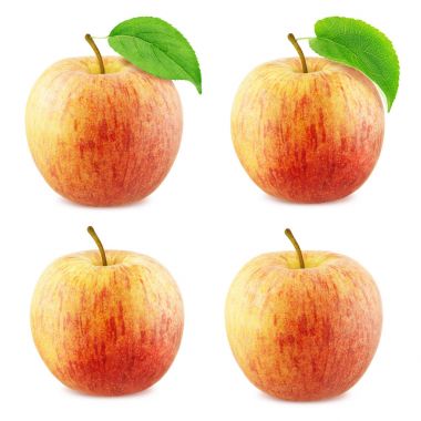 Beyaz arka plan üzerinde izole elma toplama