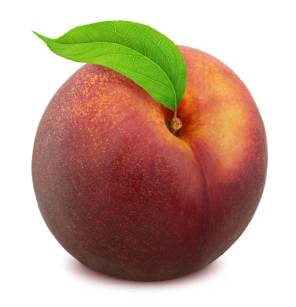 Verse rijpe Nectarine met uitknippad — Stockfoto