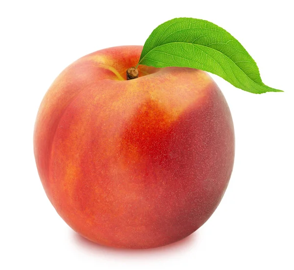 Verse rijpe Nectarine met uitknippad — Stockfoto