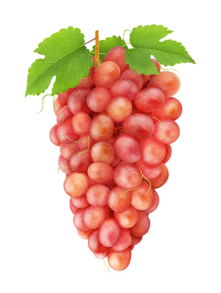 Красный виноград с листьями, изолированными на белом — стоковое фото