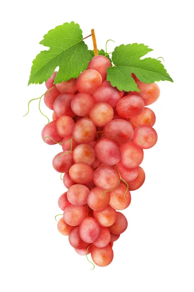 Red grape with leaves isolated on a white — Stock Photo, Image