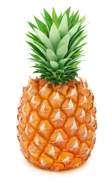 Tüm ananas beyaz izole.