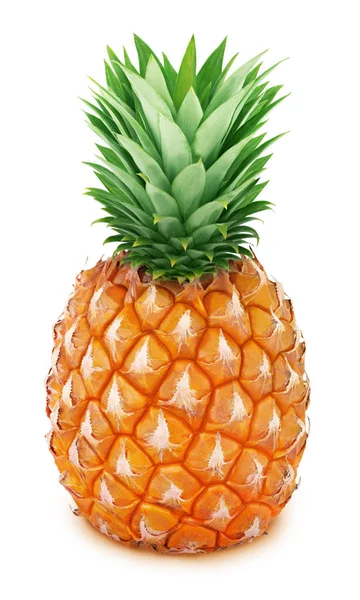Tüm ananas beyaz izole.