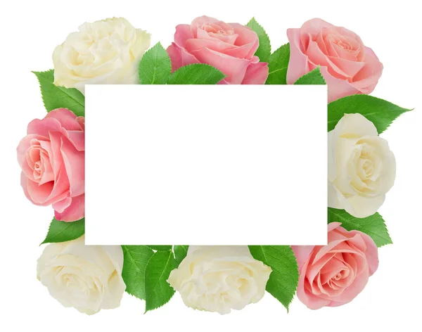 Square frame made of pink and white roses with copyspase inside isolated on a white background with clipping path. — Stock Photo, Image