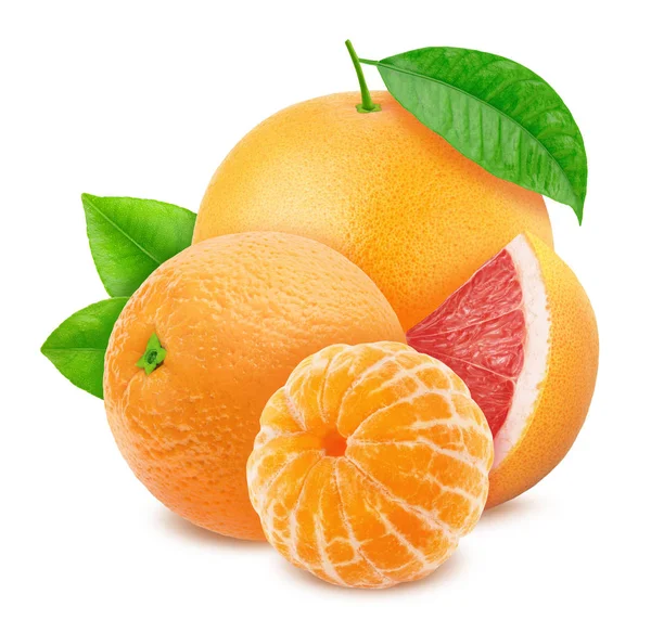 Veelkleurige samenstelling met verschillende citrusvruchten - grapefruit, sinaasappel en mandarijn geïsoleerd op een witte achtergrond. — Stockfoto