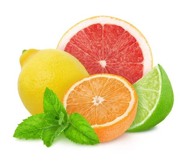 Veelkleurige samenstelling met mix van verschillende citrusvruchten met munt geïsoleerd op een witte achtergrond. — Stockfoto