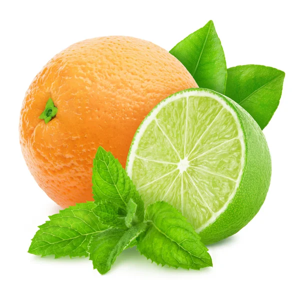 Veelkleurige samenstelling met citrusvruchten - limoen en sinaasappel met munt geïsoleerd op een witte achtergrond. — Stockfoto