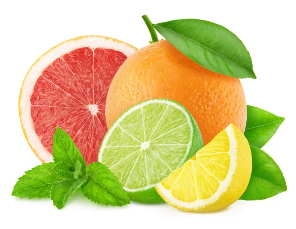 Veelkleurige samenstelling met mix van verschillende citrusvruchten met munt geïsoleerd op een witte achtergrond. — Stockfoto