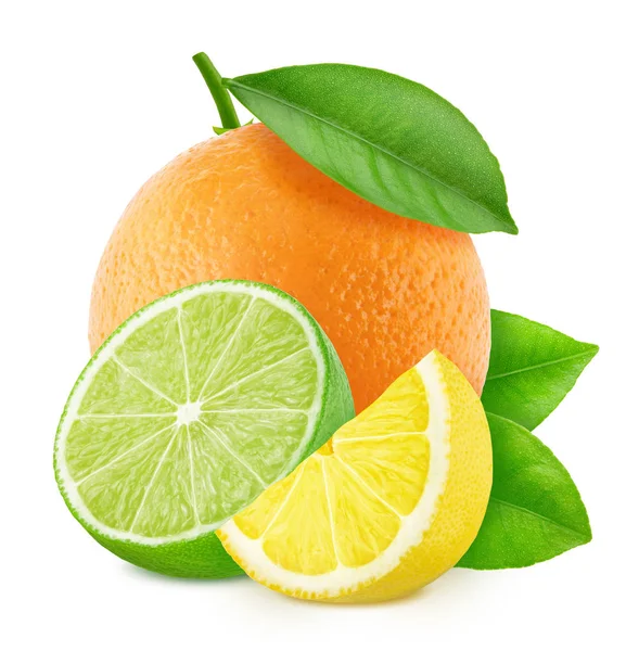 Veelkleurige samenstelling met mix van verschillende citrusvruchten geïsoleerd op een witte achtergrond. — Stockfoto