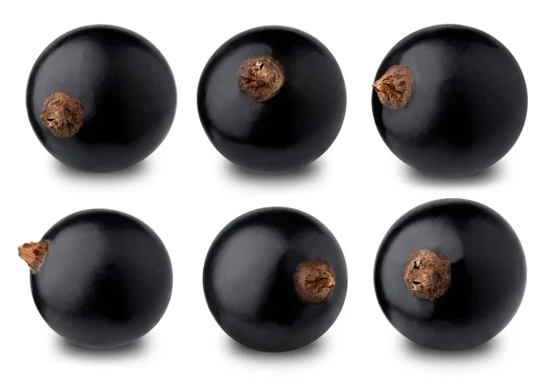 Set zwarte bessen geïsoleerd op een witte achtergrond. — Stockfoto