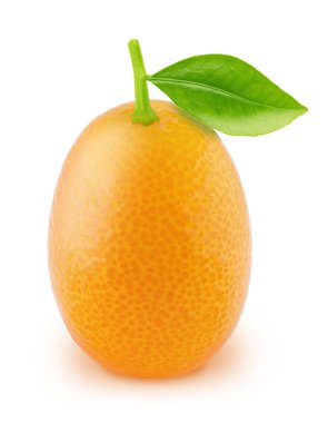 Beyaz arkaplanda yaprakları izole edilmiş tüm kumkat.