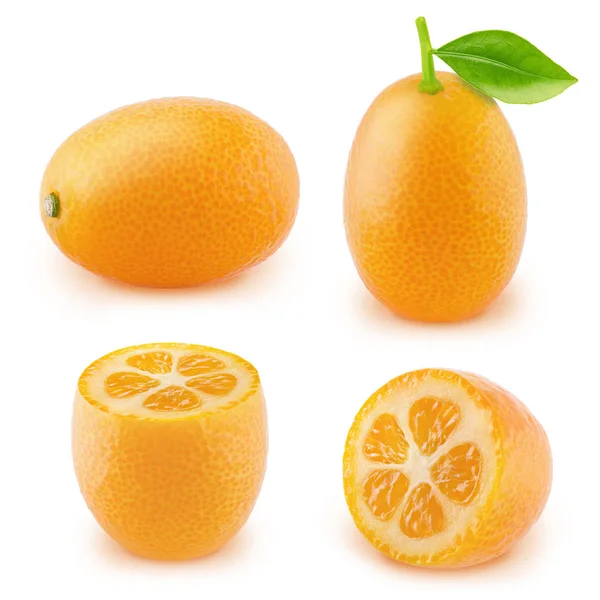 Uppsättning av kumquat frukter isolerad på vit bakgrund. — Stockfoto
