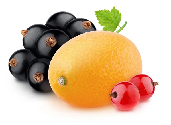 具有kumquat, red and black currant的成分，在白色背景上与剪枝路径隔离. — 图库照片