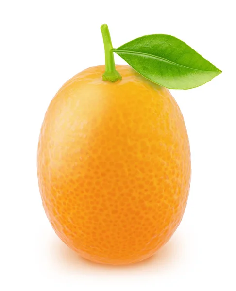 Hele kumquat met bladeren geïsoleerd op witte achtergrond. — Stockfoto