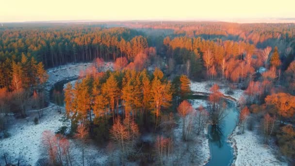 Luftaufnahme Der Frühlingsszene Sonne Scheint Von Oben Auf Bäume — Stockvideo