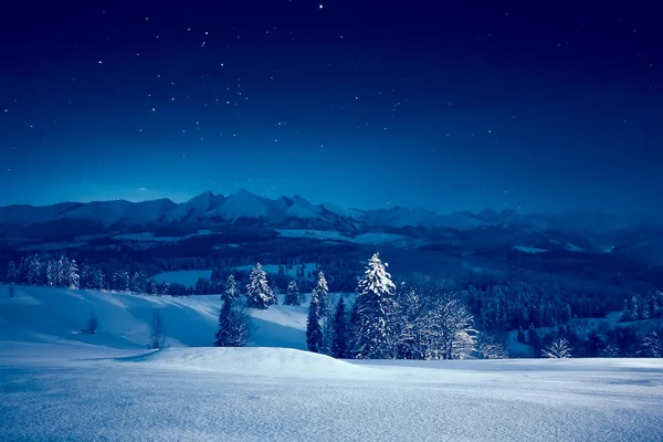 Noche estrellada de invierno — Foto de Stock