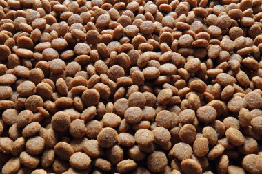 Köpek Gıda arka plan