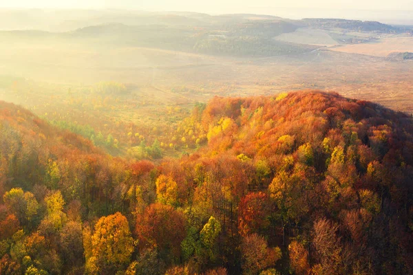 Herbstwald im Gebirgstal — Stockfoto