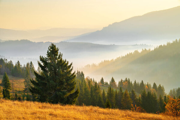 Mountain hills with mist early in the morning. Stunning autumn sunrise over mountains. Fall landscape.