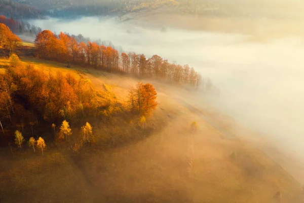 Berghügel mit Herbstwald — Stockfoto