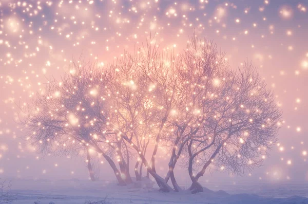 魔法の妖精クリスマスの夜 — ストック写真