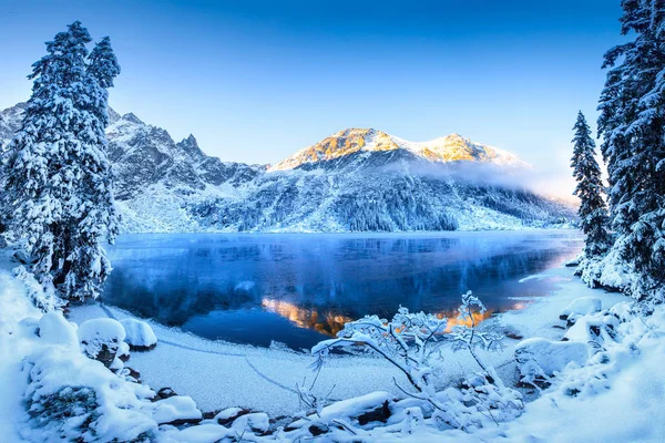 Manzaralı kış manzarası — Stok fotoğraf