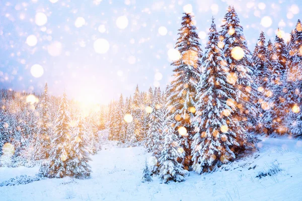 Peisaj pitoresc de iarnă cu fulgi de zăpadă colorați — Fotografie, imagine de stoc