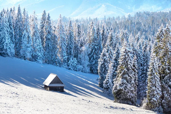 Malowniczy zimowy krajobraz doliny alpejskiej — Zdjęcie stockowe