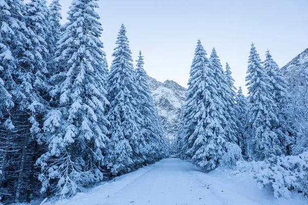 Escénico invierno fondo alpino — Foto de Stock