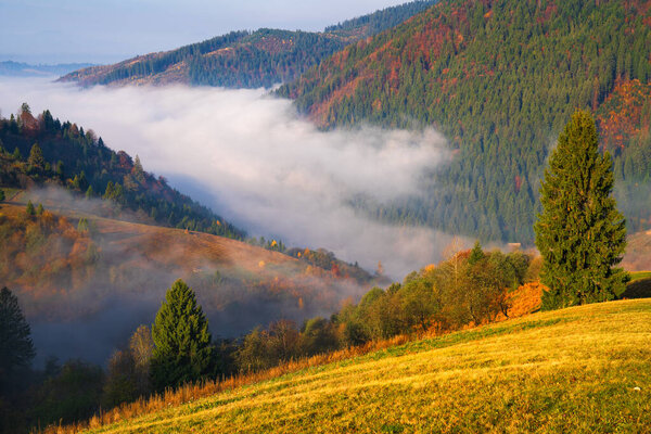 Picturesque mountain landscape