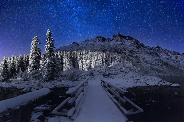 Vinter stjärnklar natt i bergen. — Stockfoto
