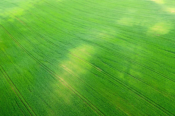 Widok Zielonego Pola Rolnego Góry Wiosenne Żywe Tło — Zdjęcie stockowe