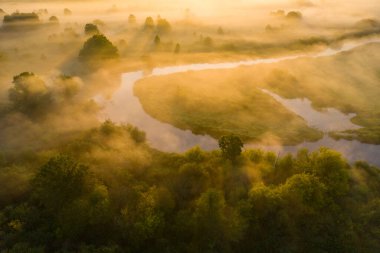 Sabahın erken saatlerinde sisli bir bahar vadisi. Ilık güneş ışığı yeşil ağaçlarda parlıyor. Hava manzarası. Bahar manzarası manzarası.